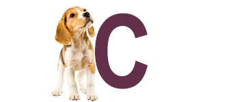 Noms de chien avec C Noms de chien avec C - Noms de chien commencent par C