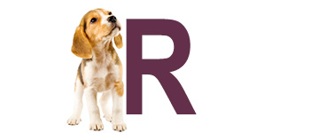 Noms de chien avec R - Noms de chien commencent par R