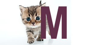 Noms de chat M Noms de chat avec M